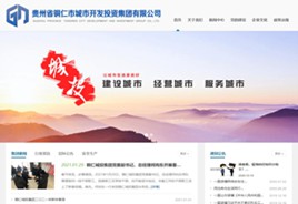 双阳城市开发投资集团有限公司