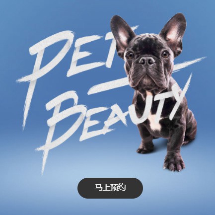 双阳宠物中心小程序开发